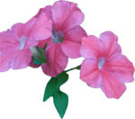 20071029.png