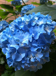 67A53C70-8A8E-4101-86D2-3361CE4F39F2.jpg