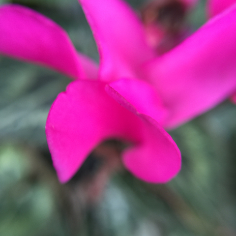 874C0756-F772-4E52-9D17-08FFB4951AAD.jpg